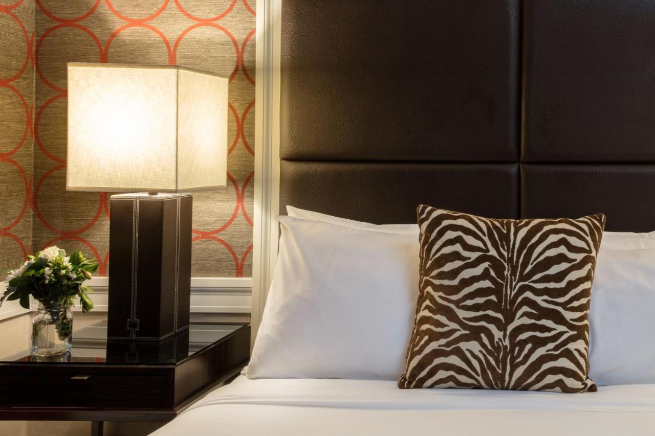 Suite Superior