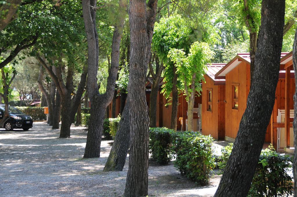 Bungalow (3 Adulti)
