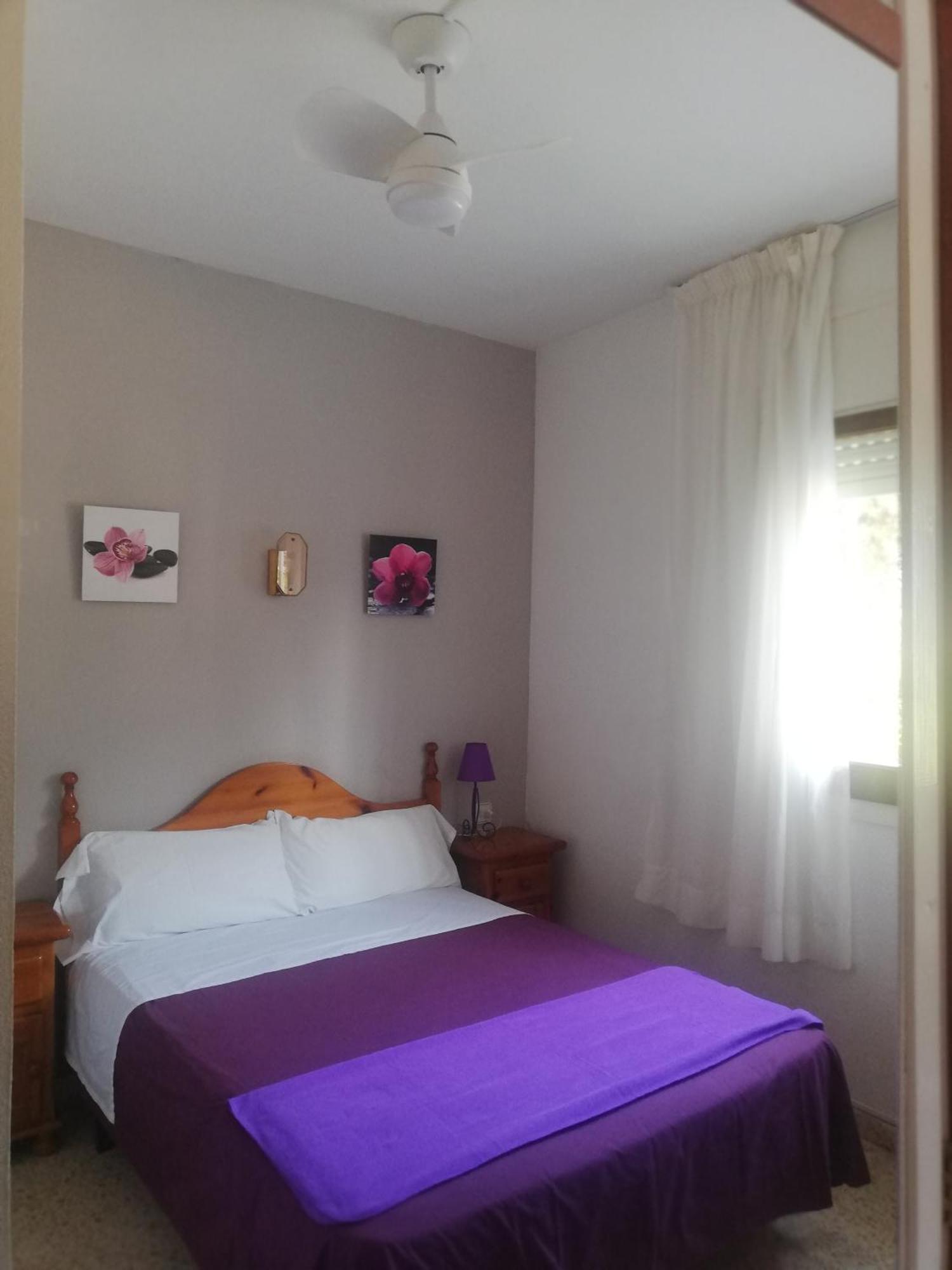 Habitación Individual