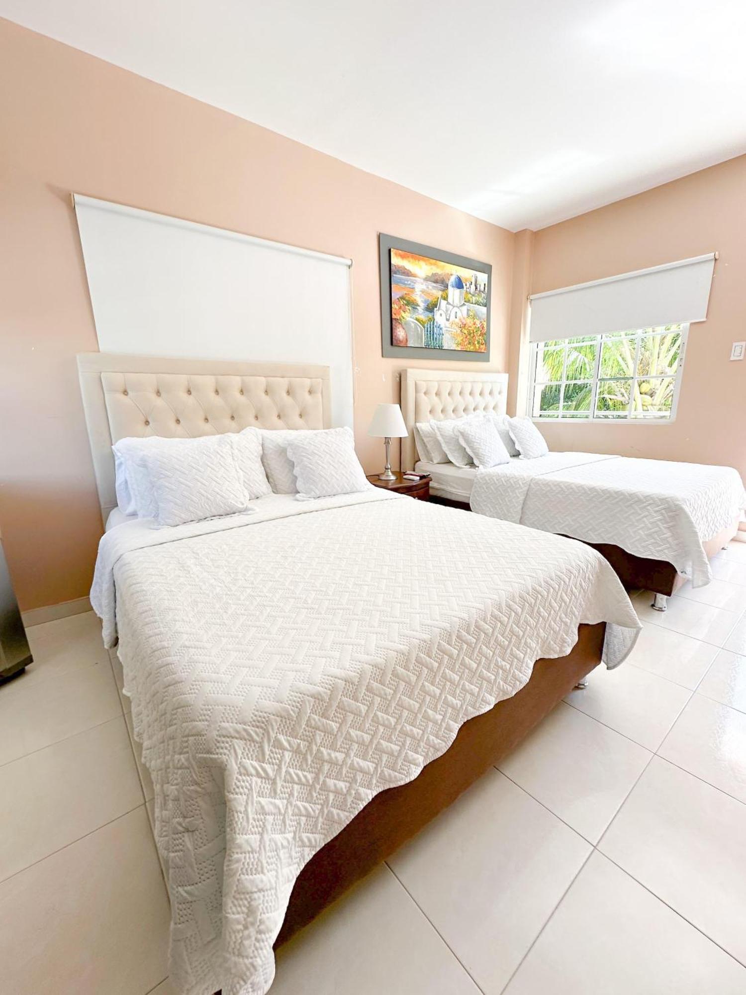 Habitación Doble Estándar con vistas a la montaña - 2 camas