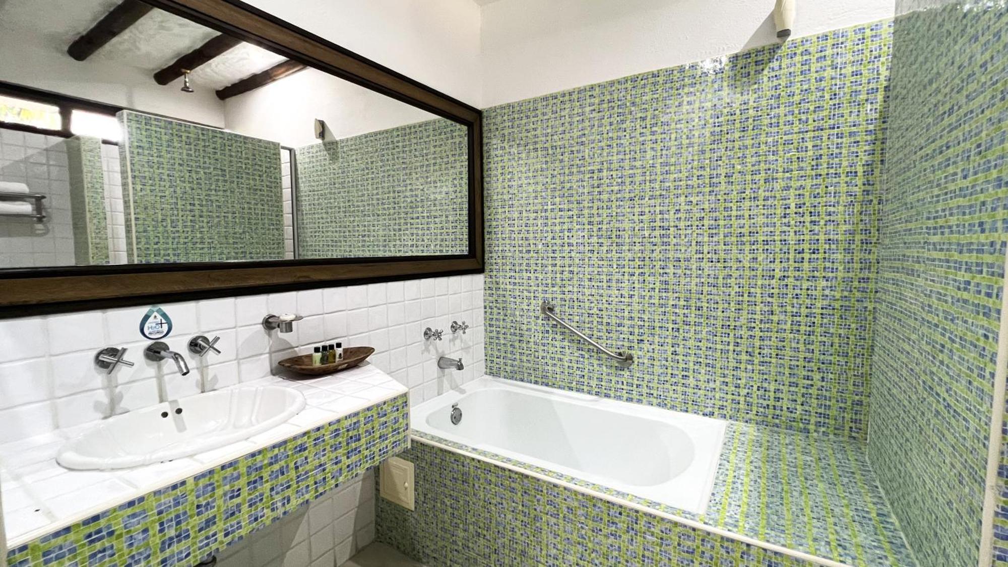 Habitación Doble Deluxe con vistas al jardín - 1 o 2 camas