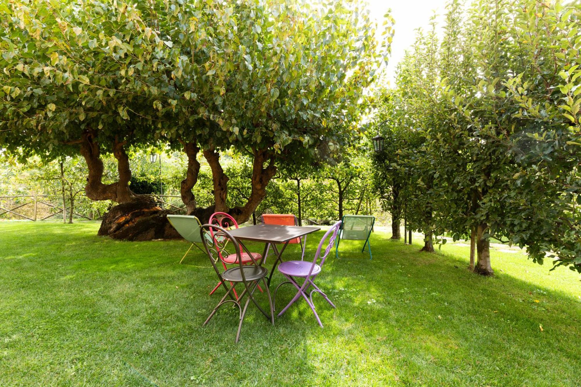 Appartamento con Vista Giardino
