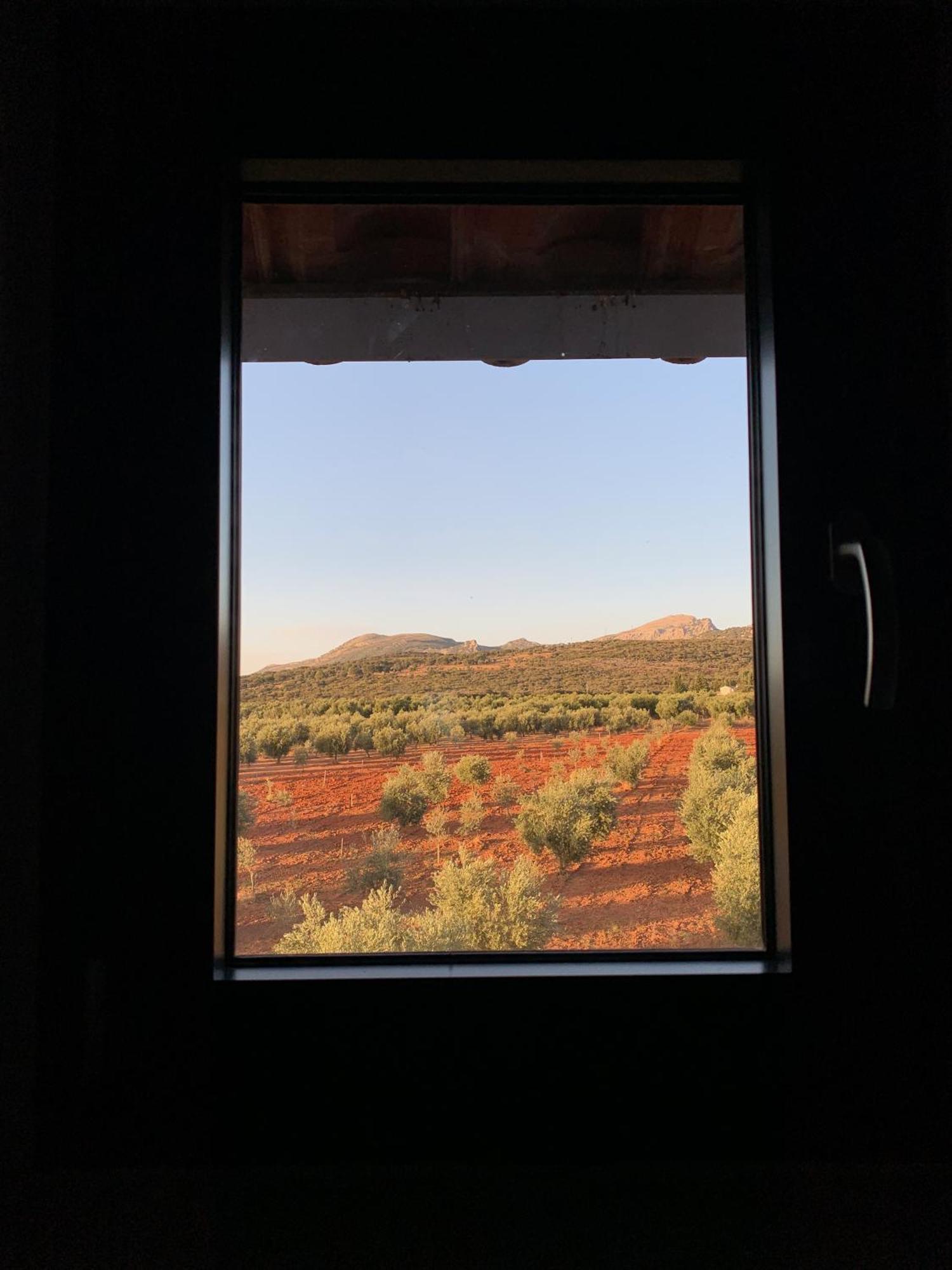 Suite con vistas a la montaña
