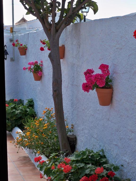 Apartamento de 3 dormitorios (6-8 adultos)