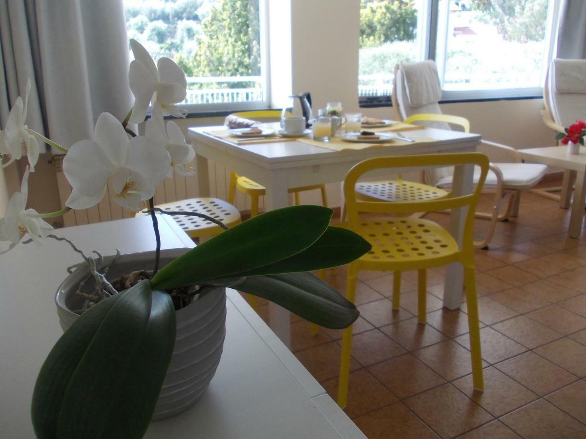 Monolocale con Terrazza