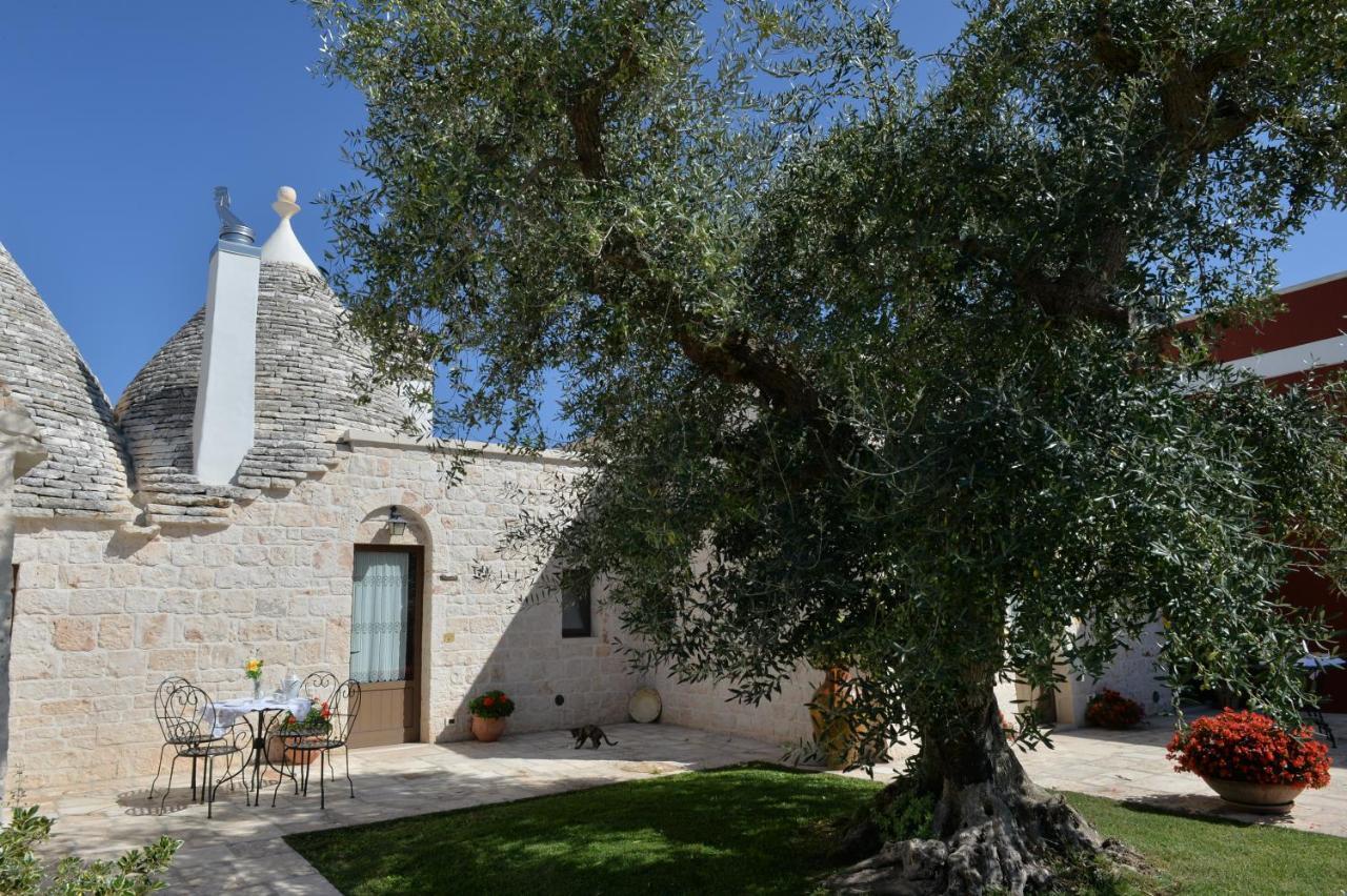 Trullo - Appartamento Standard con 1 Camera da Letto