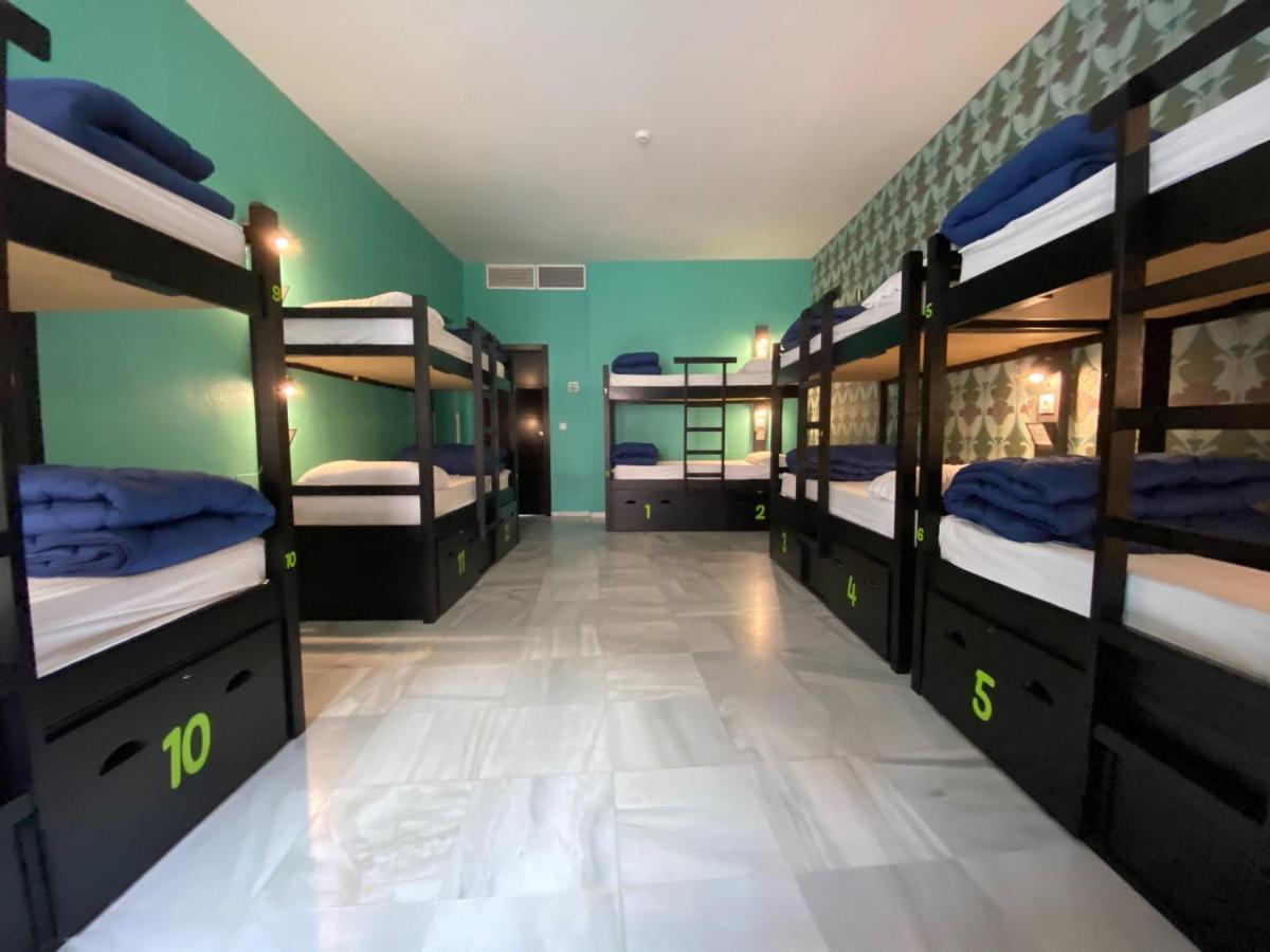 Bed 12-Bed Mixed Dormitory Room,995952064:JPEG