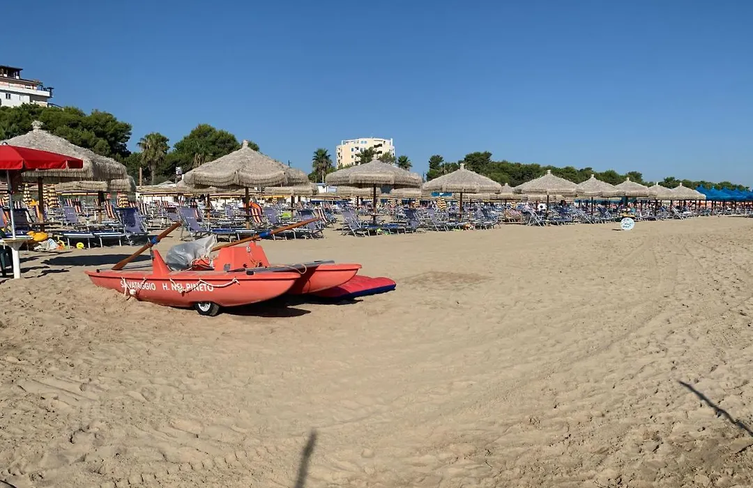 Hotel Nel Pineto-1