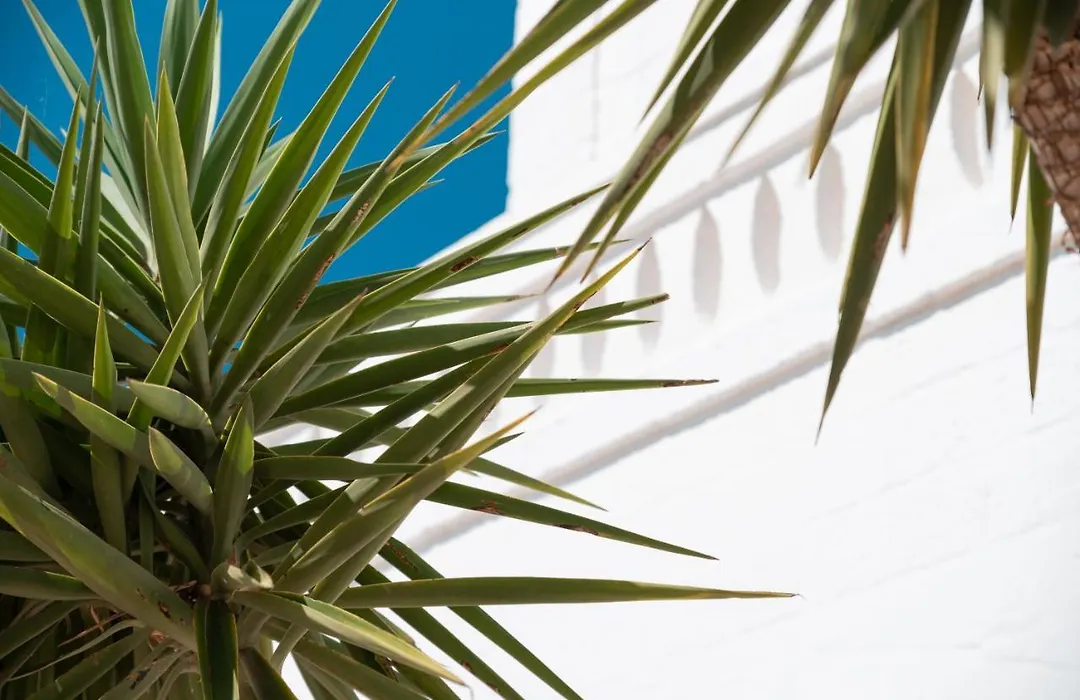 Masseria Donna Nina-1