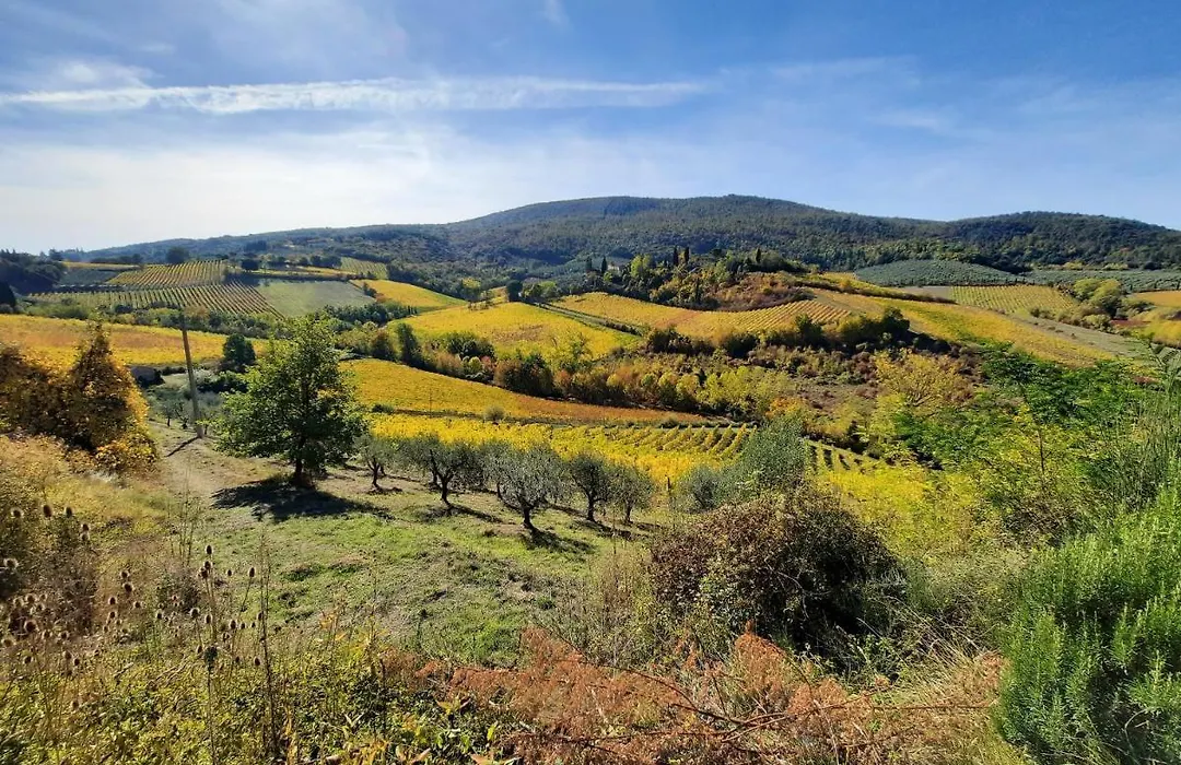 Villa Del Sole-1