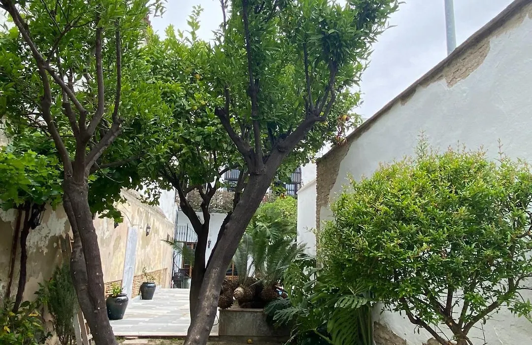 Casa Palacio Ánima-1