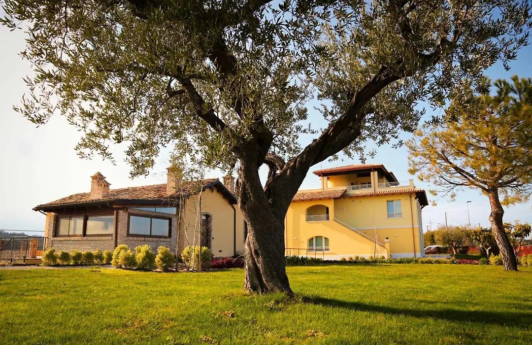 Agriturismo BioCore 2 - Colledoro-1