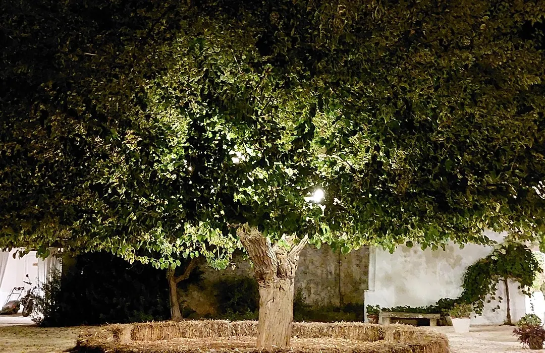 Masseria San Martino-1