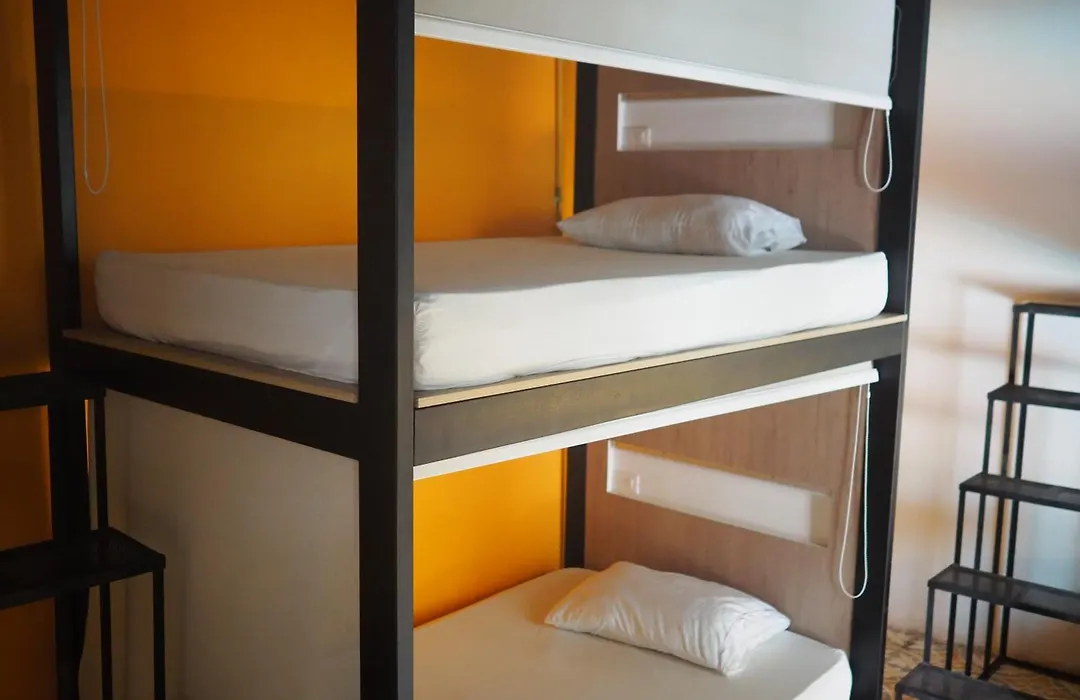 Baboon Hostel-1