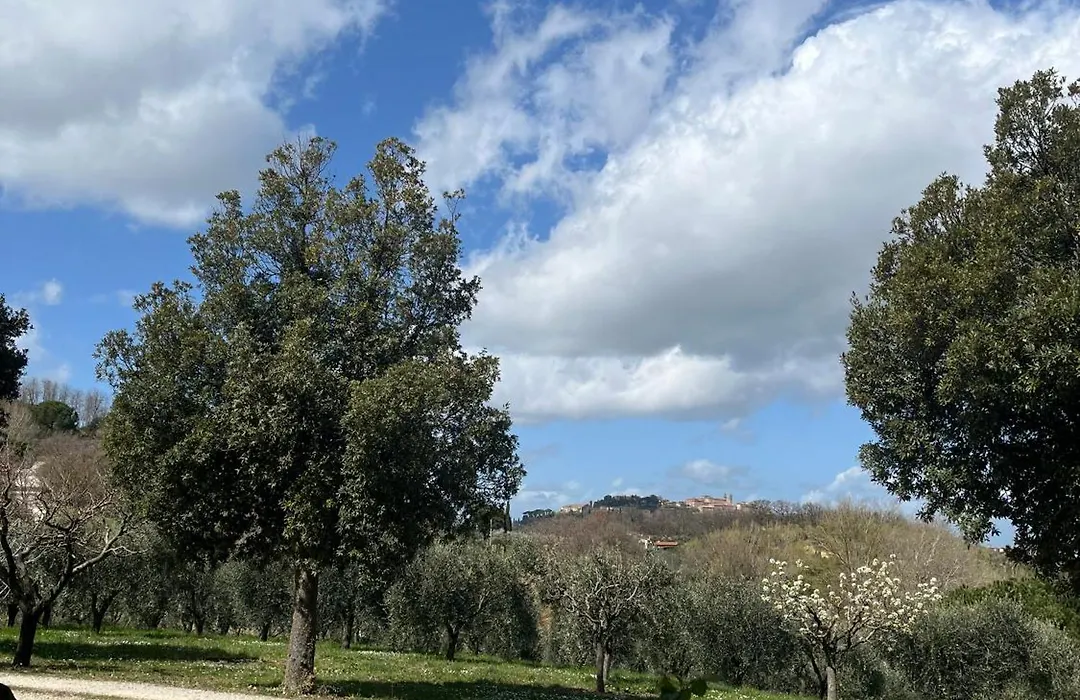 Agriturismo Il Gonzeto, Montepulciano-1