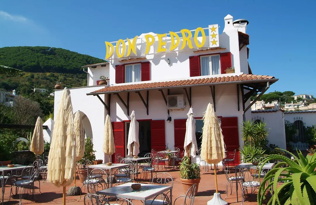 Hotel Don Pedro-1