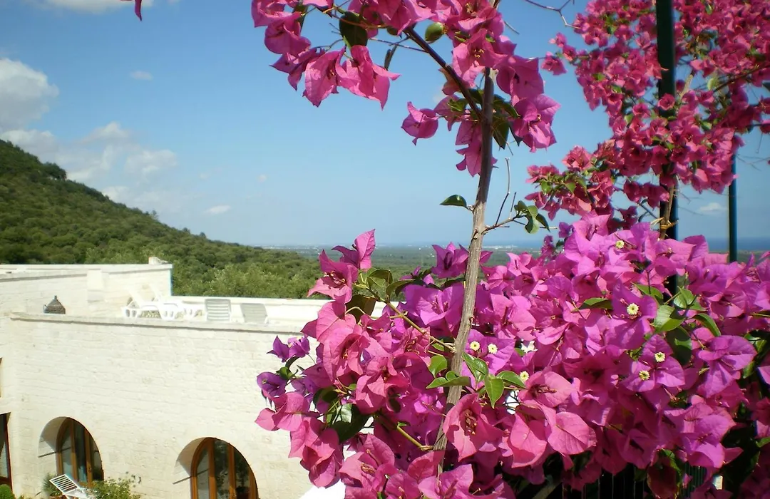 Masseria Morrone-1