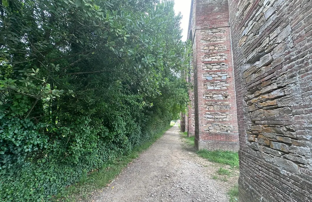 Paradiso Verde-1