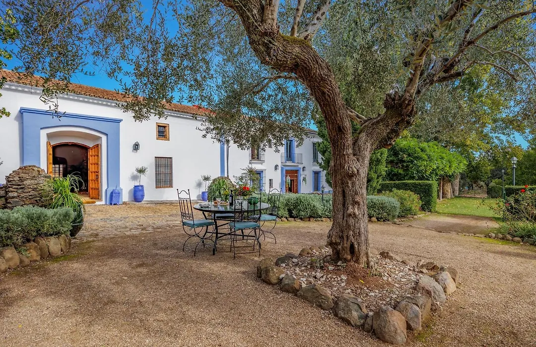 Molino Fuentesanta-1