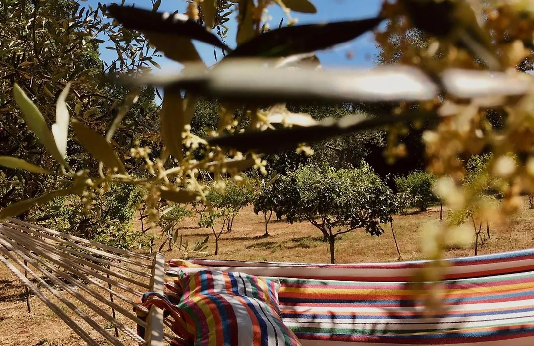 Masseria Fenicia-1