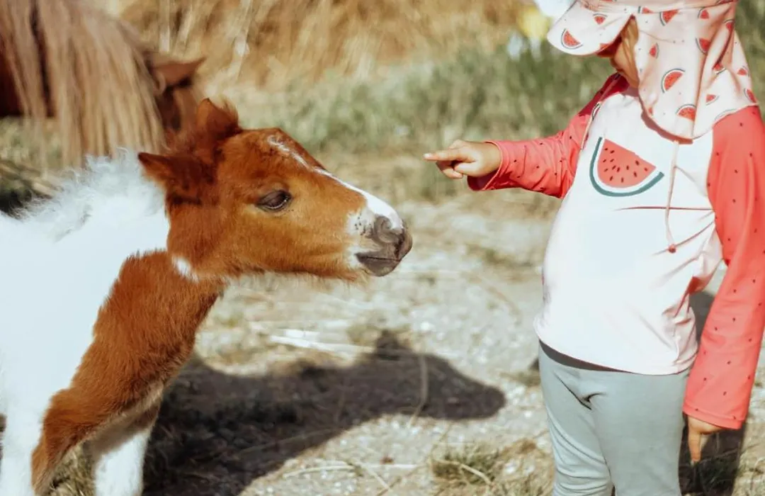 Rta Costa Etrusca-1