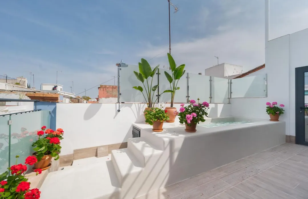 Luxury Apartment Overlooking Casa Pilatos-1