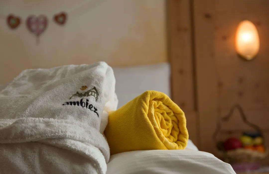 Hotel Ambiez-1