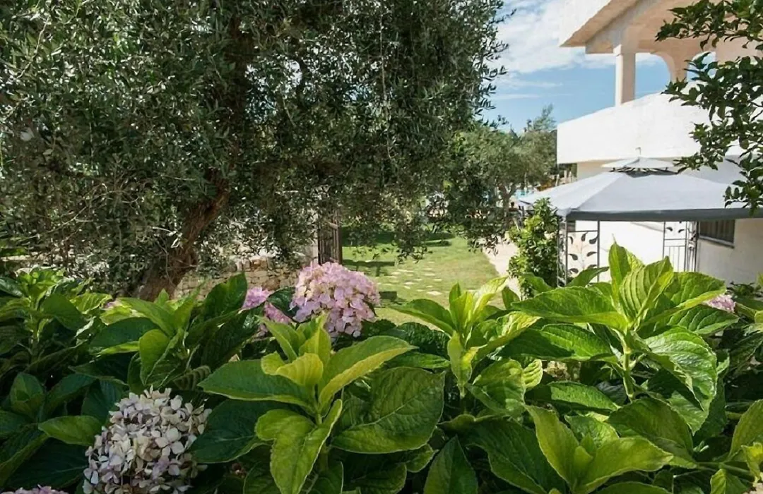 Residenza Aurora-1