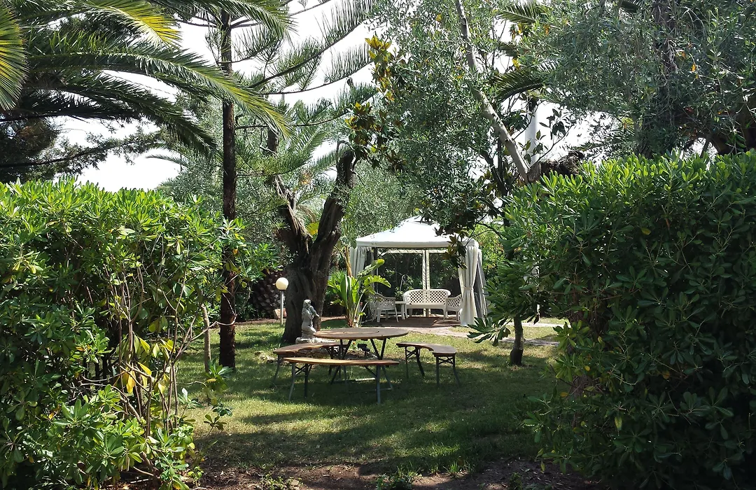 Residence Alba-1