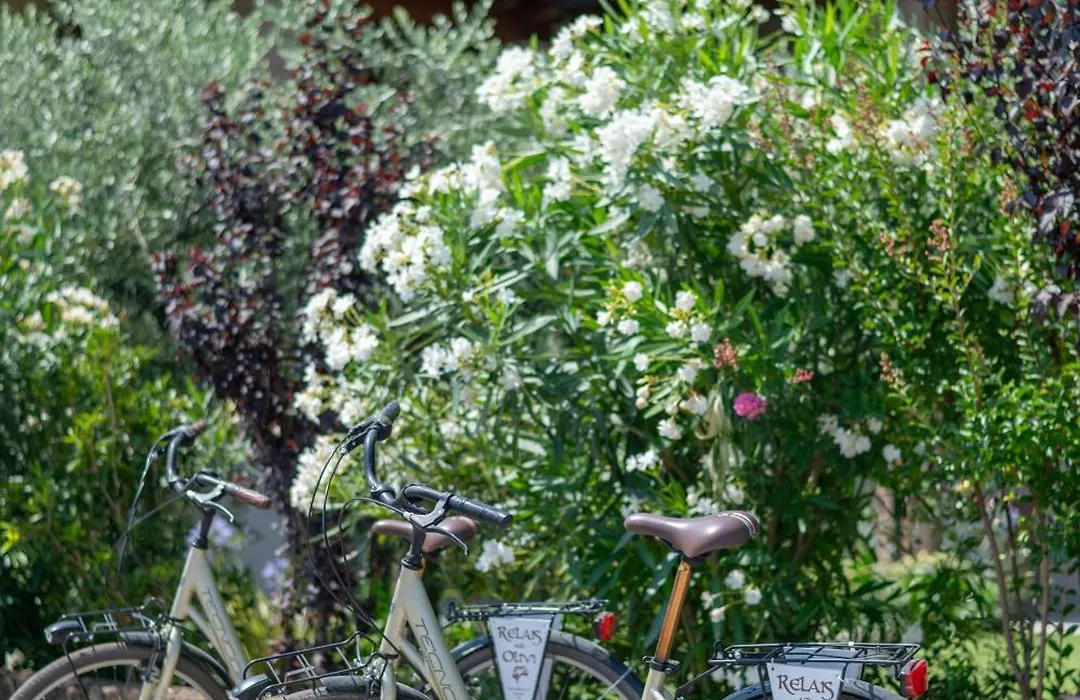 Hotel Relais Agli Olivi-1
