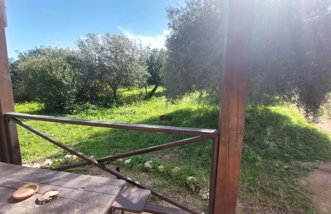 Agriturismo Terra Di Pace-1