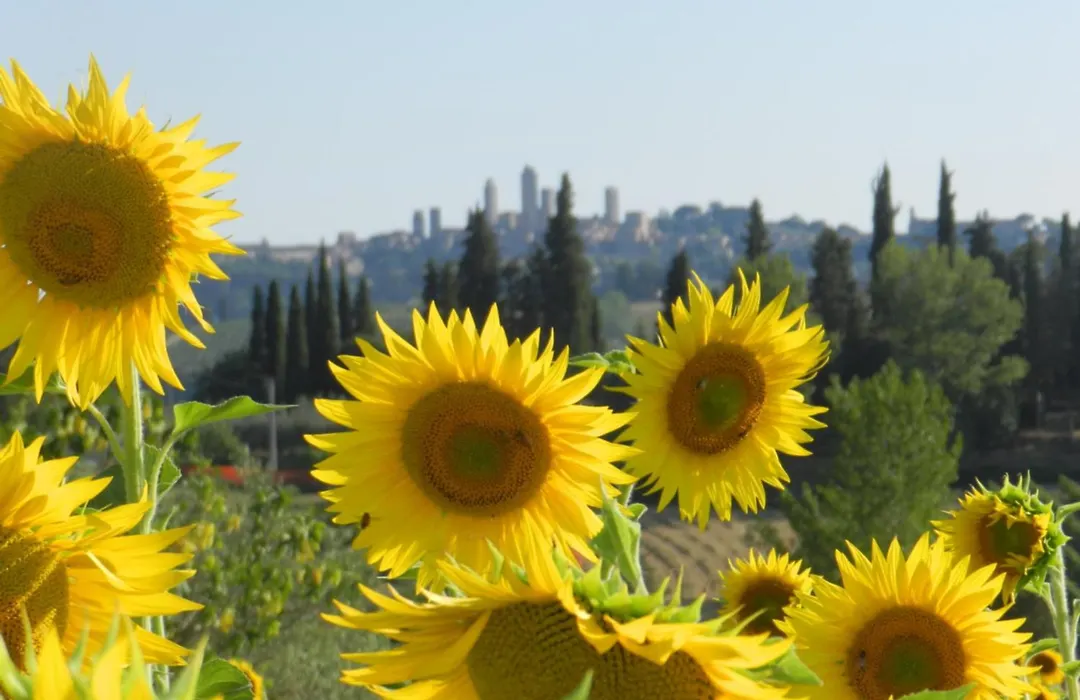 Agriturismo Montegonfoli-1
