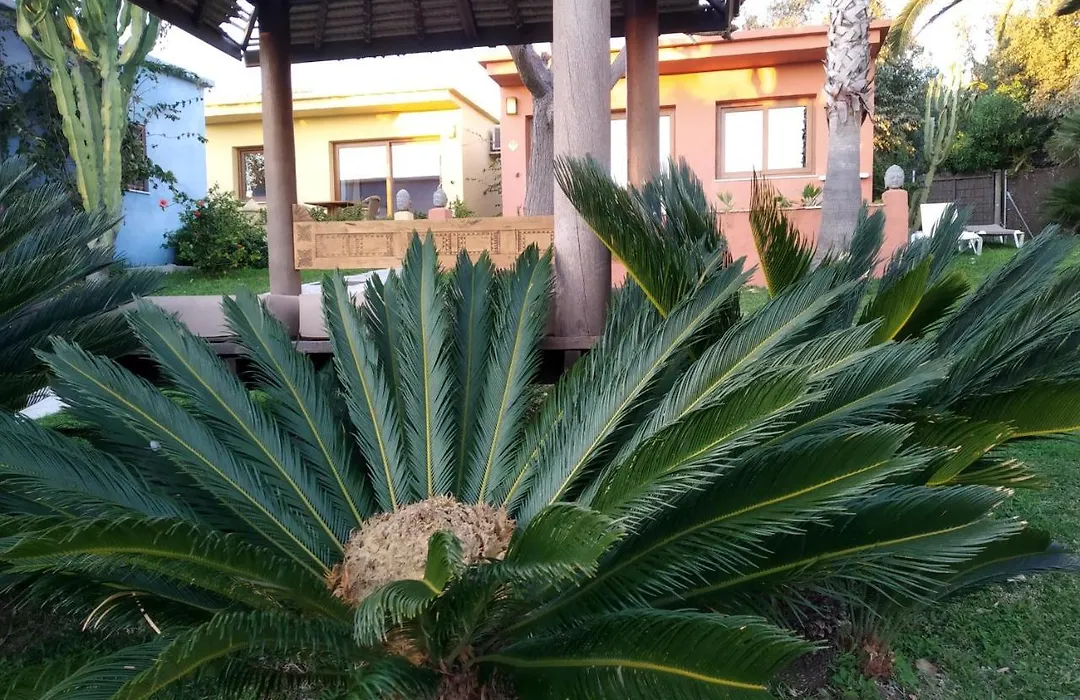Beach Hotel Dos Mares-1