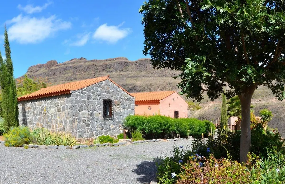 Finca Las Olivas - Unique Country House With Heated Pool-1