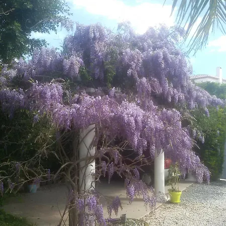 Villa Amadeus Xabia-3
