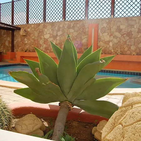 El Mosaico Del Sol-3