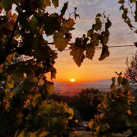 Agriturismo Il Vecchio Mandorlo-3