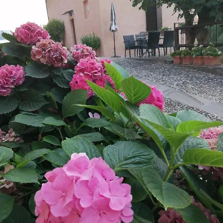 B&B Ronco degli Ulivi-2