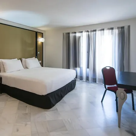 Hotel Palacio Marqués de Arizón-3
