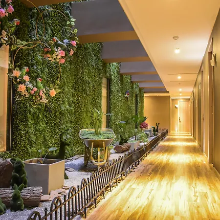 Hotel Catedral Plaza-3