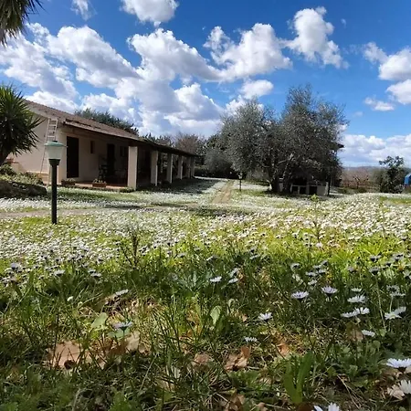 Agriturismo Bio Pian Dei Casali-2