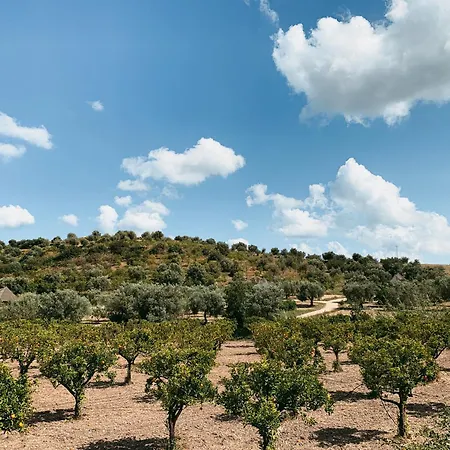 Iuta Farm-2