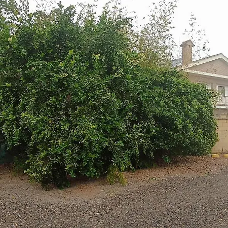 Villa Coco-3