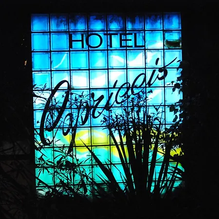 Hotel Capriccio-3