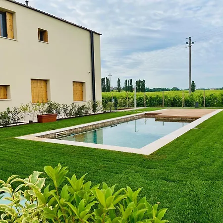 B&B Il Vigneto-3