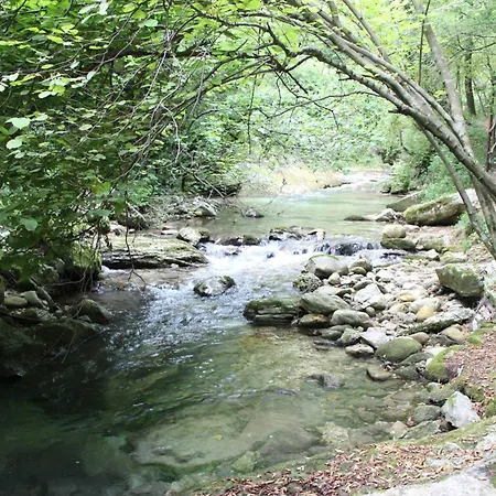 Hotel Arimannia-3