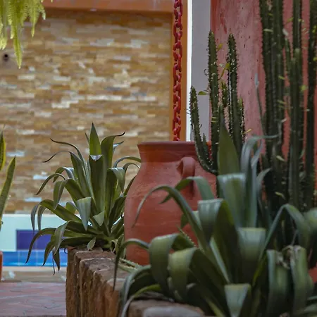 Hotel Tierra Roja-3