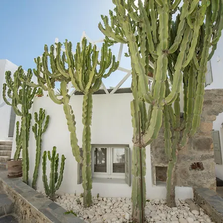 Damianos Mykonos Hotel-2