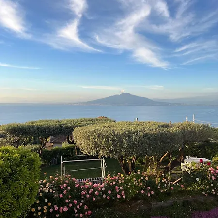 Sorrento Garden-3