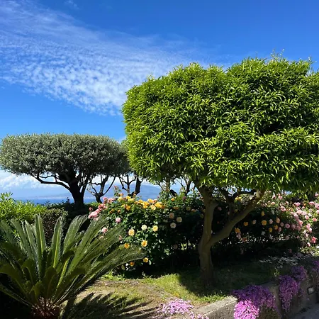 Sorrento Garden-2